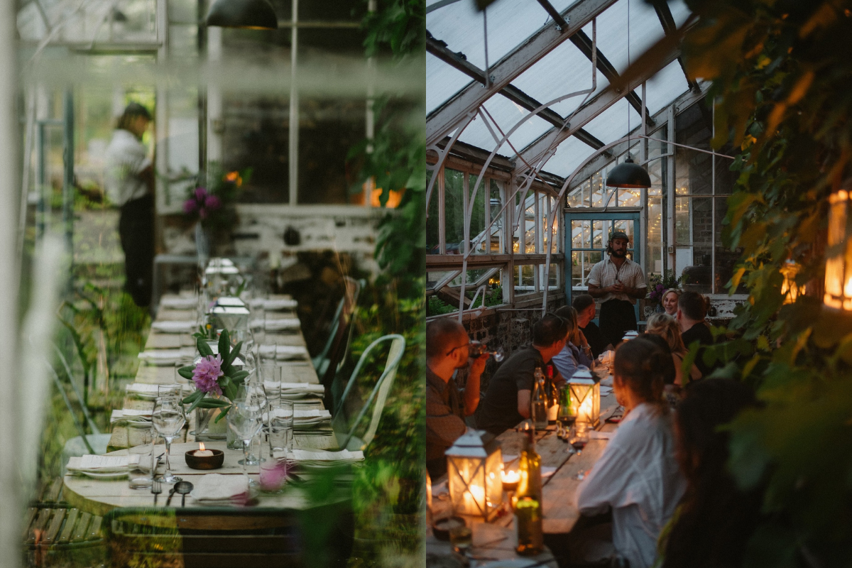 wild dining experiences in scotland: Wild Kabn Kitchen