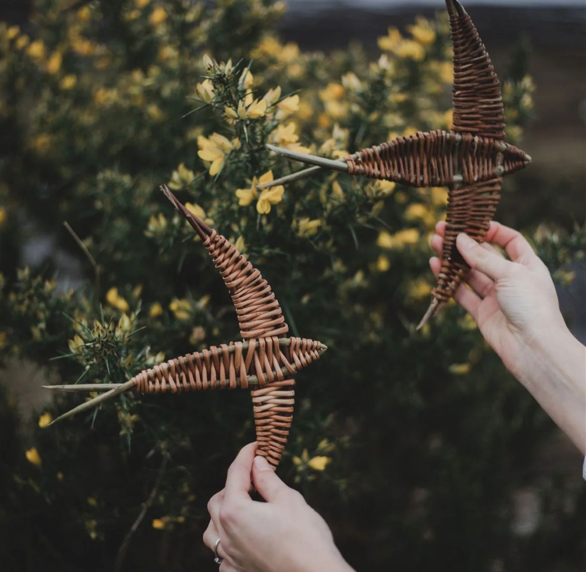 Swallow willow weaving with Louise Kerr on the Isle of Skye