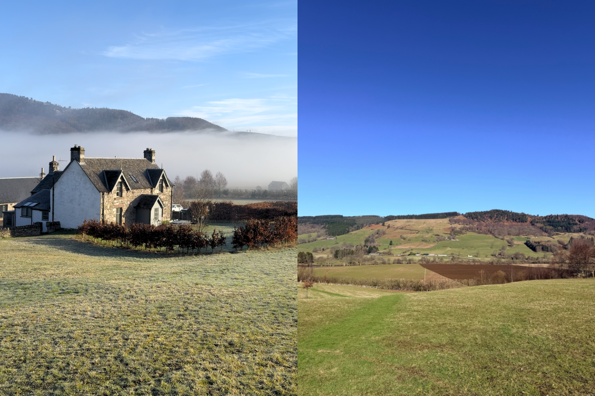 Ballintaggart Farm, in the Tay Valley, on a sunny morning in March