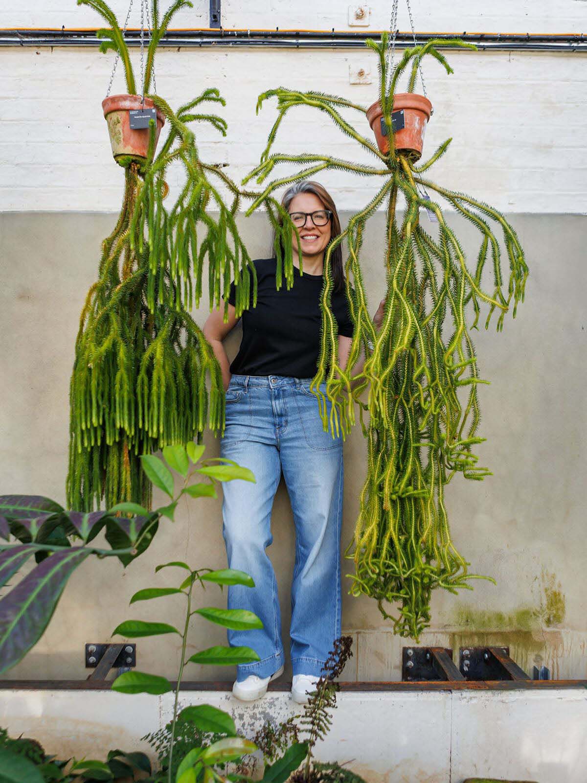 scotland's first houseplant festival at the pitt in edinburgh greenaf