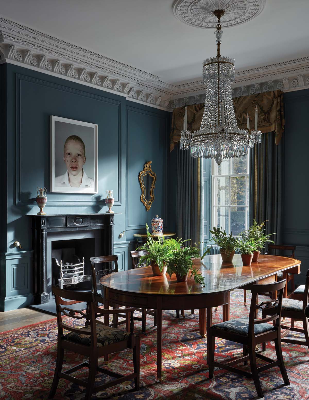 blue dining room with glass chandelier above the antique walnut dining table and cornicing