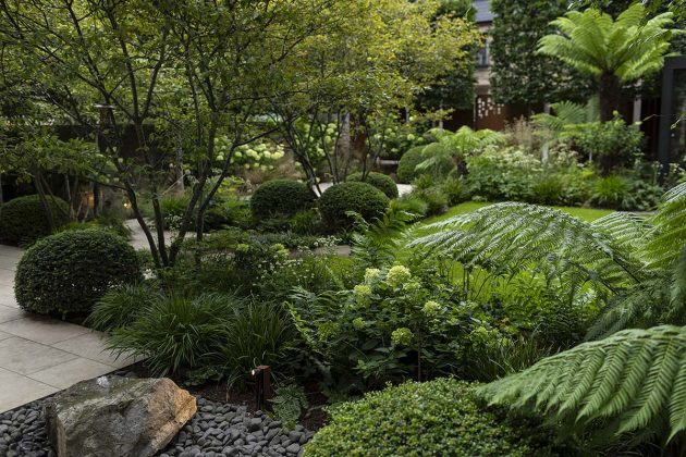 Stephen Ogilvie Landscape Design