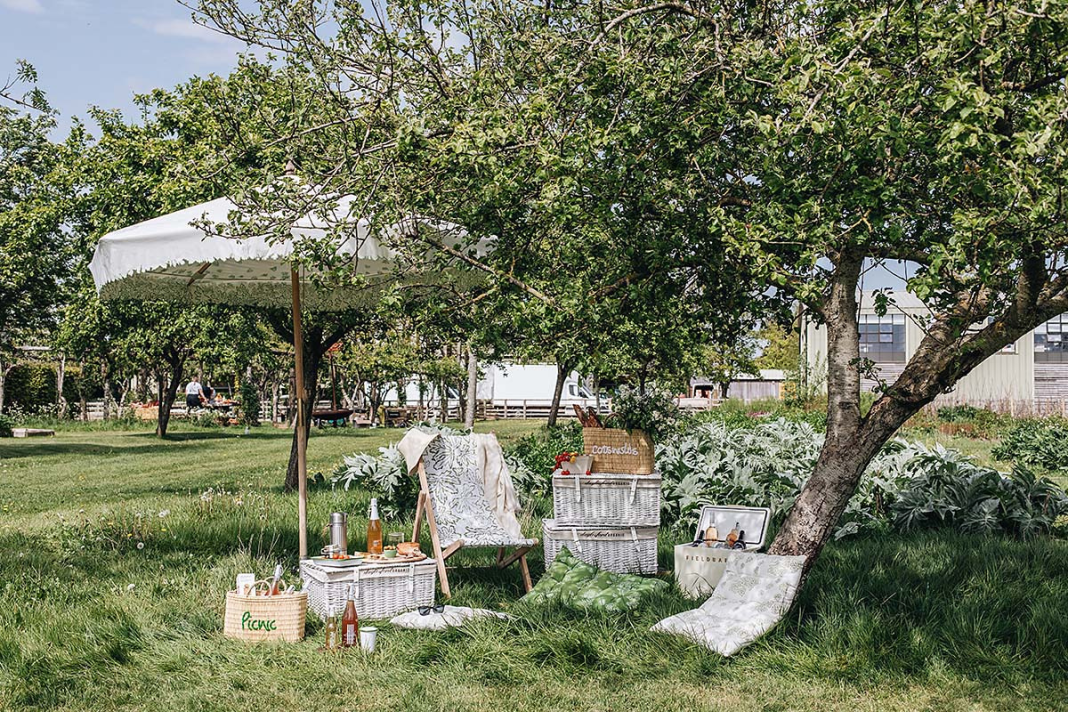 A picnic area outside under a tree - Picnic area by British farm shop Daylesford