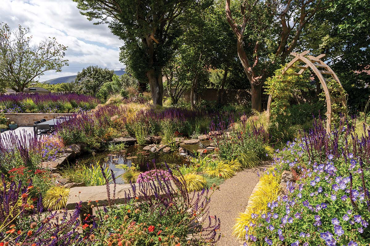 This East Neuk woodland garden helps a contemporary house melt into its surroundings