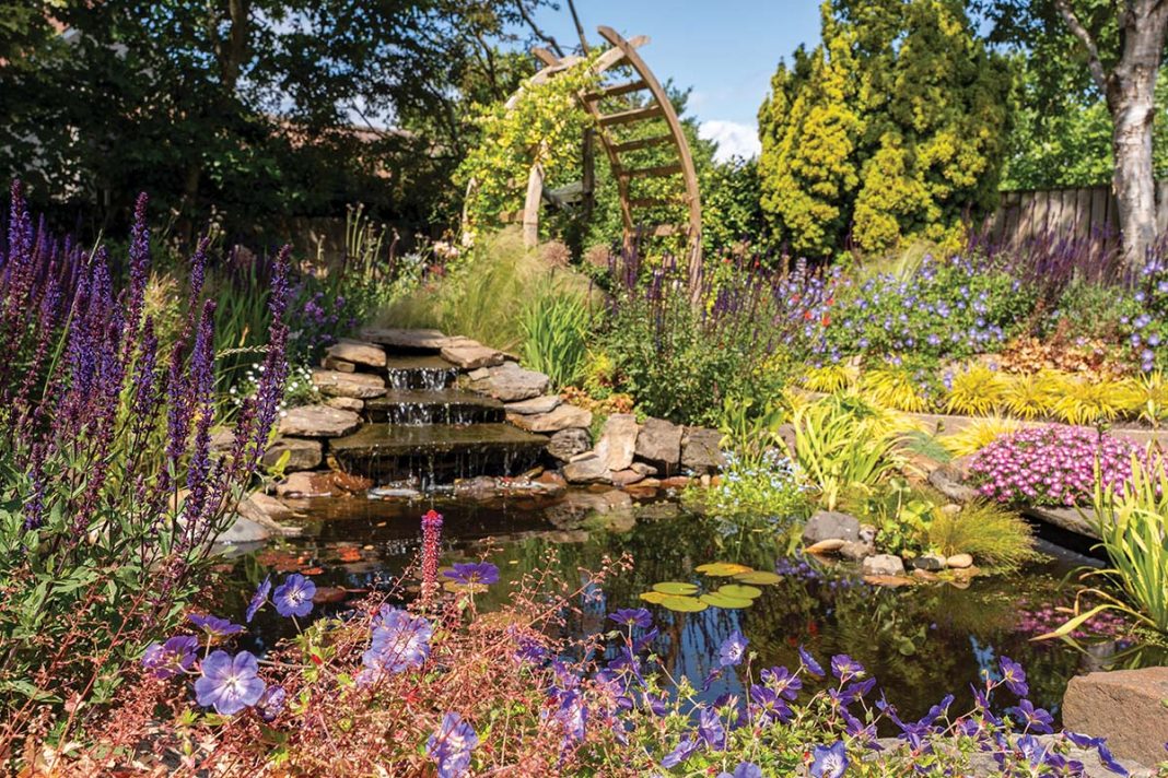The Old Smiddy: This East Neuk woodland garden helps a contemporary house melt into its surroundings