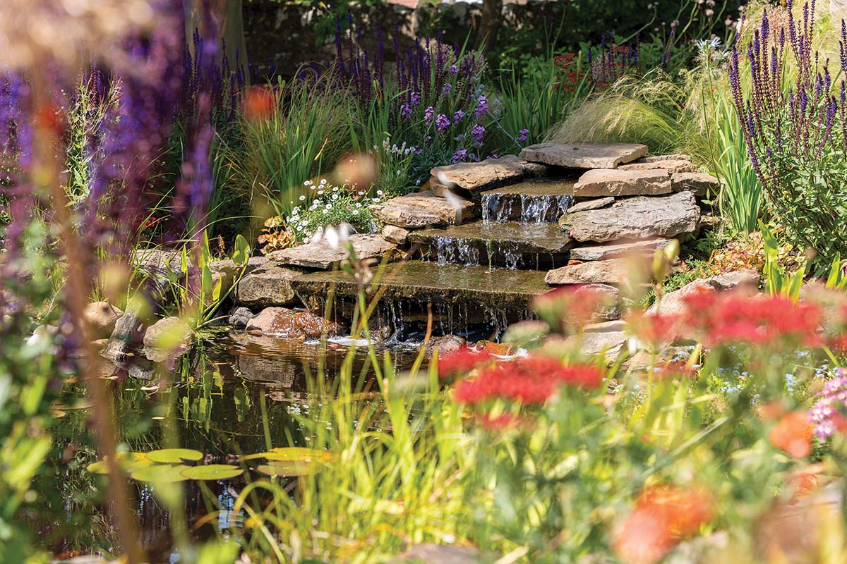 This East Neuk woodland garden helps a contemporary house melt into its surroundings