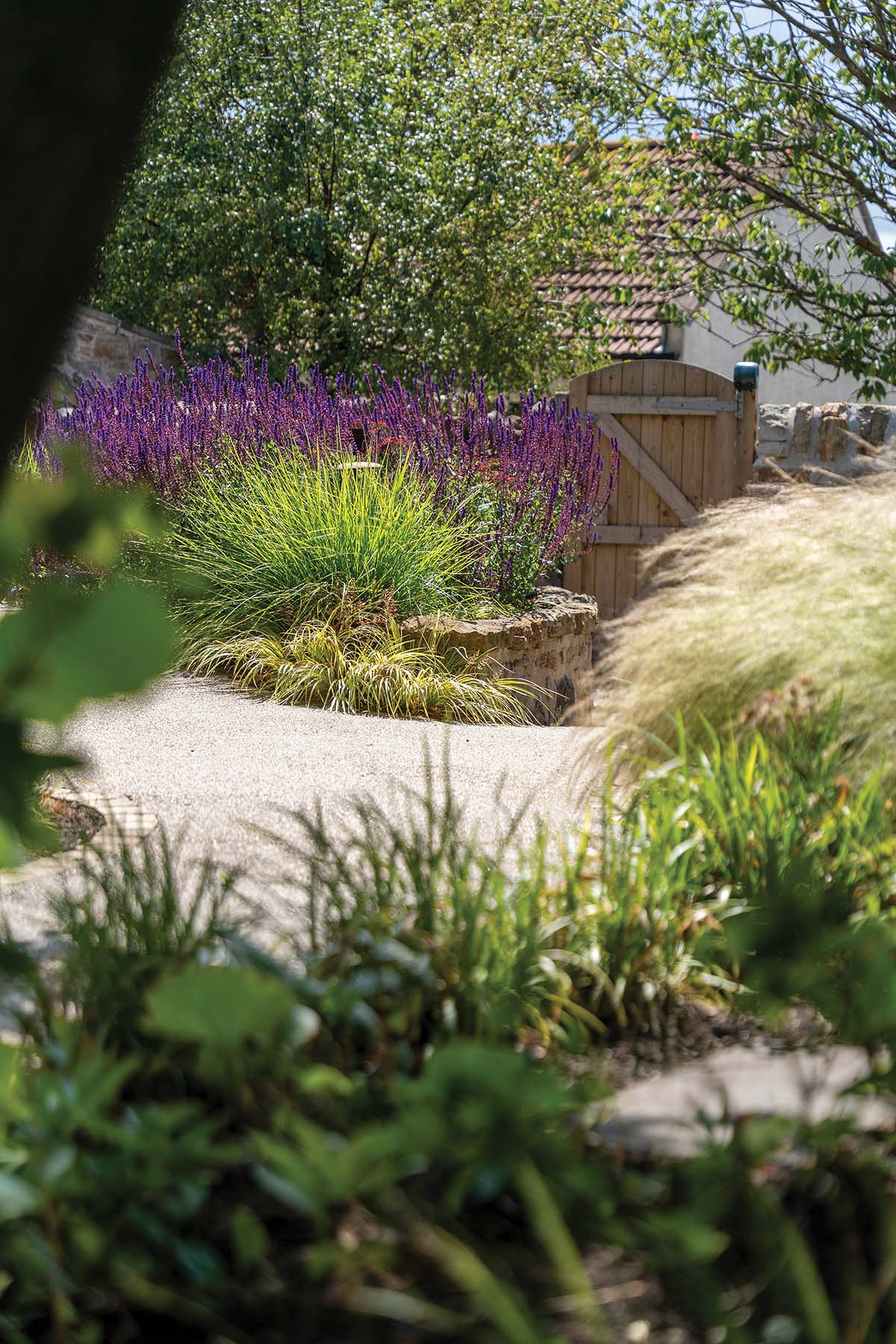 This East Neuk woodland garden helps a contemporary house melt into its surroundings