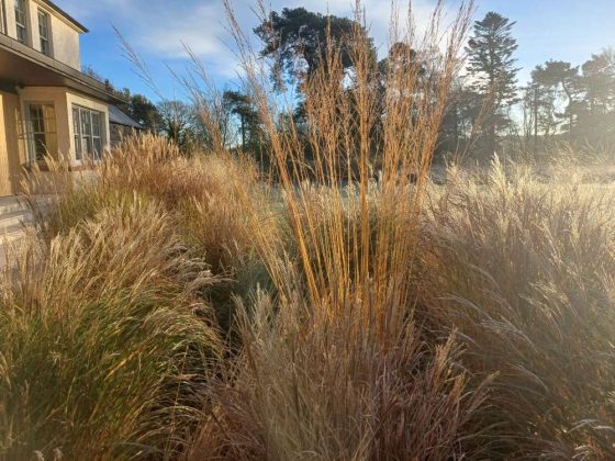 best gardne designers in scotland - down to earth