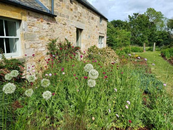 best gardne designers in scotland - down to earth