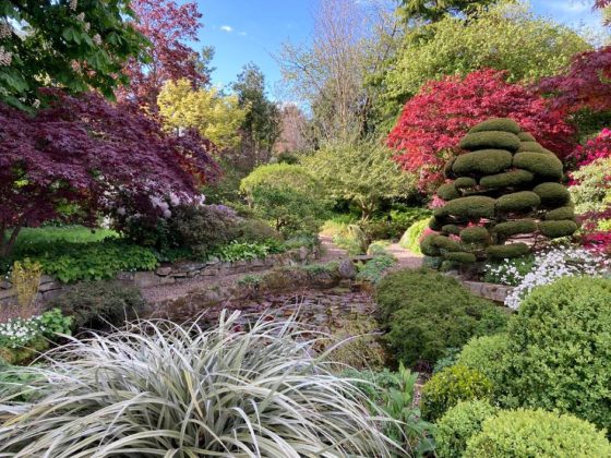 best gardne designers in scotland - down to earth