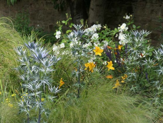 lynn hill garden desgin is a designer in scotland who works on everything from small cottage gardens to rural garden landscaping