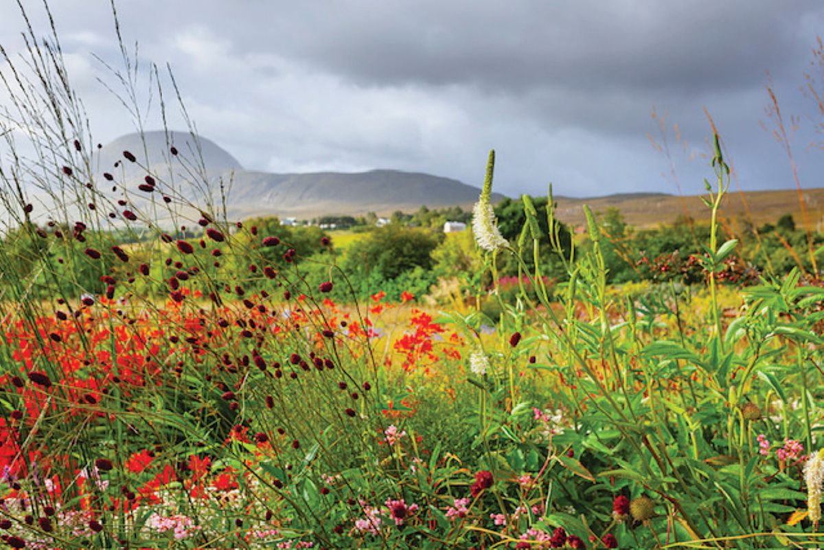 2 Durnamuck Garden is part of Scotland's Garden Scheme, a charity allowing visitors to explore gardens all across the country. Visit by arrangement until the end of September, or on the garden's open day: 26th July, 11am - 4pm.