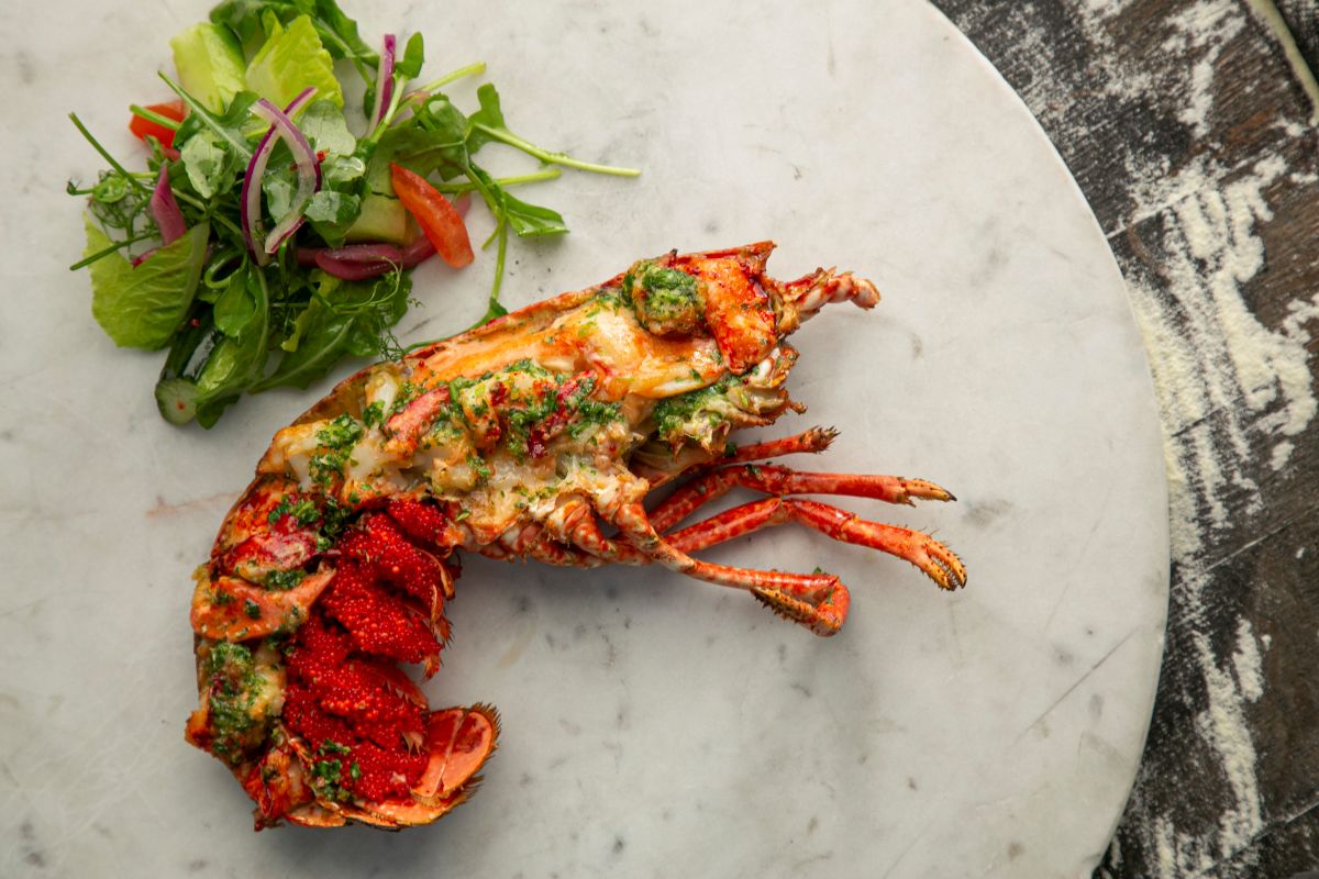 Wood fired lobster with polytunnel salad