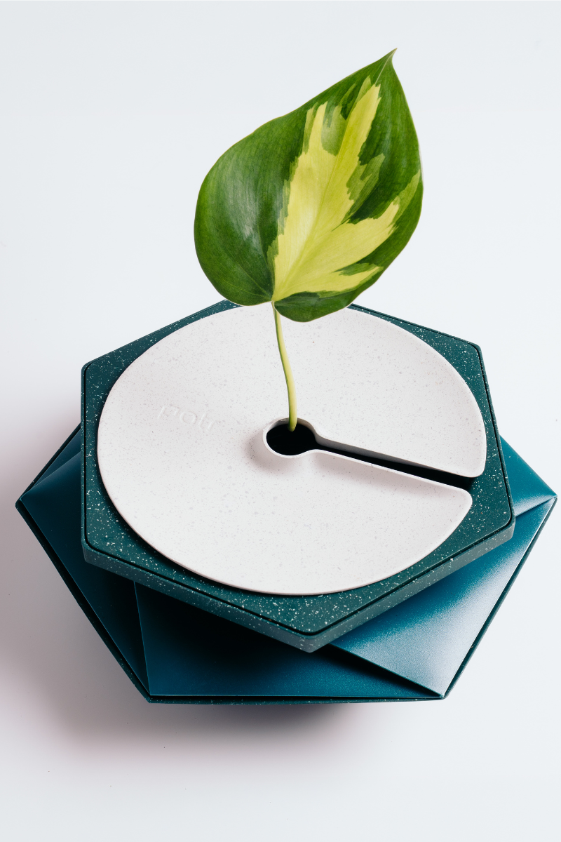 POTR plant pot