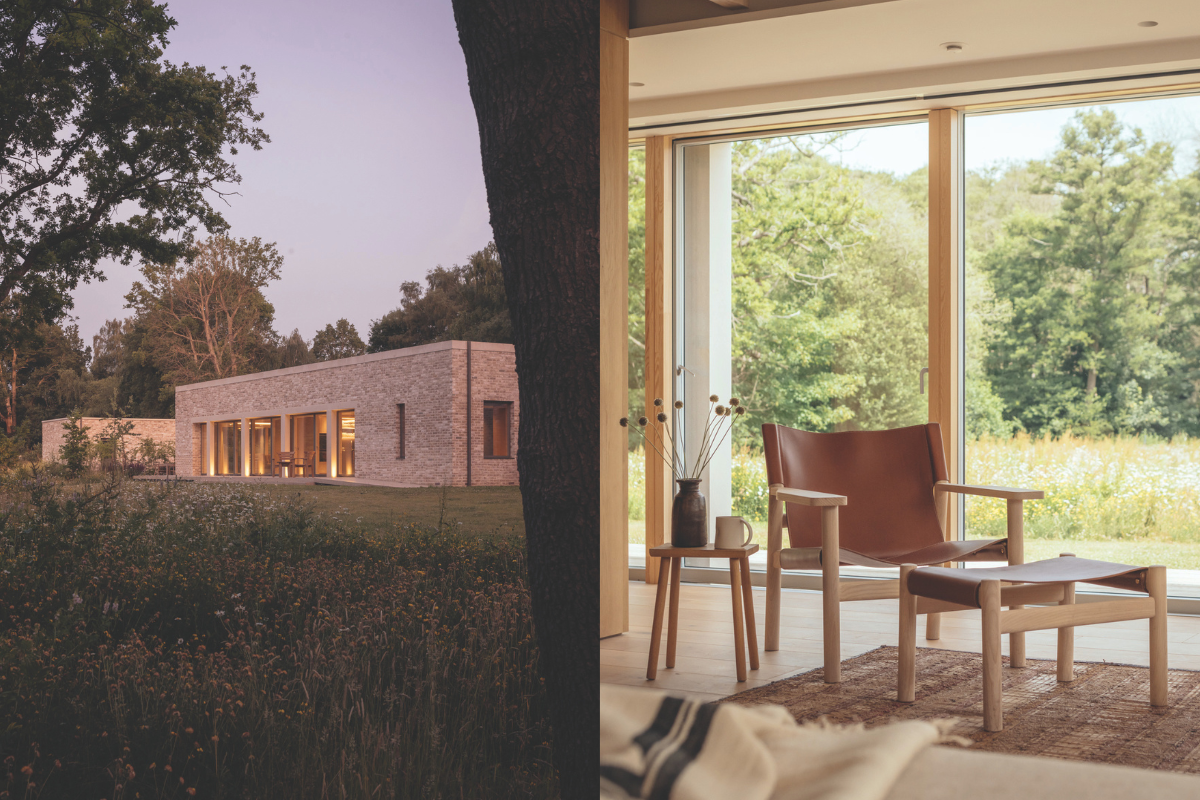 A desolate brownfield site is now a haven for nature, thanks to the owner of this low-profile, low-carbon, highly sustainable eco house.