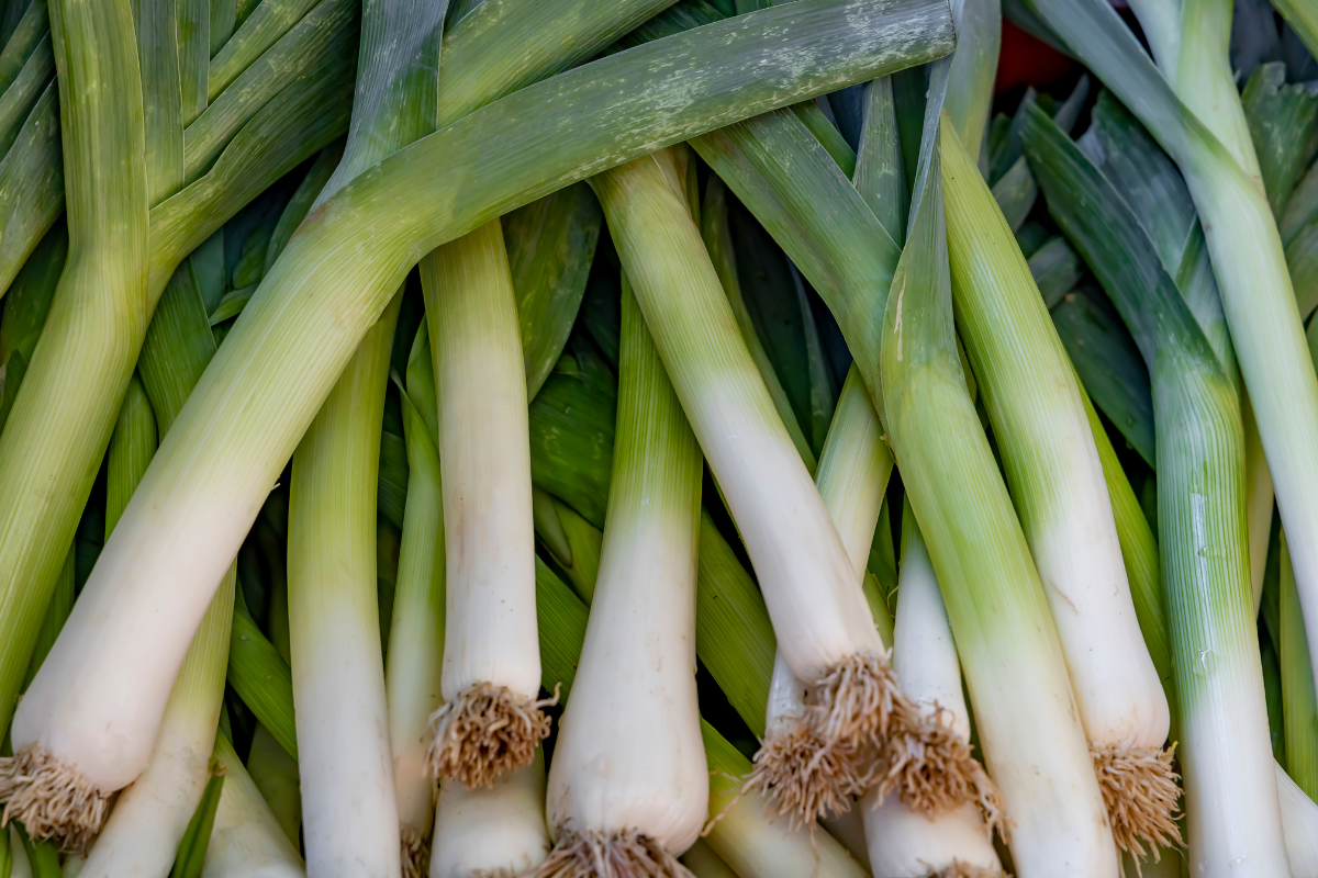 Get ready for the festive season by planting leeks in October