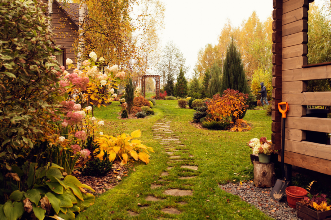 Autumn tips offer advice on how to protect your garden during colder seasons