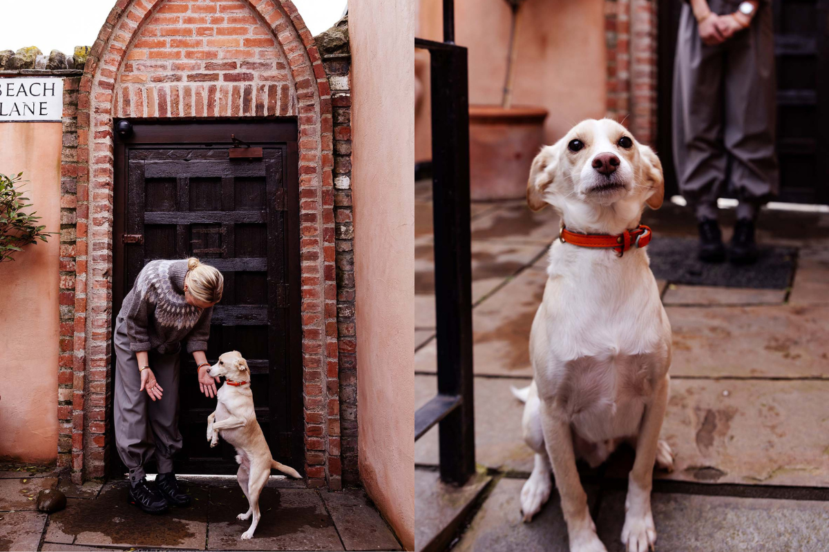 Founder of The Tower, Zahra Noble-Sabokbar, in Portobello with her dog in the courtyard