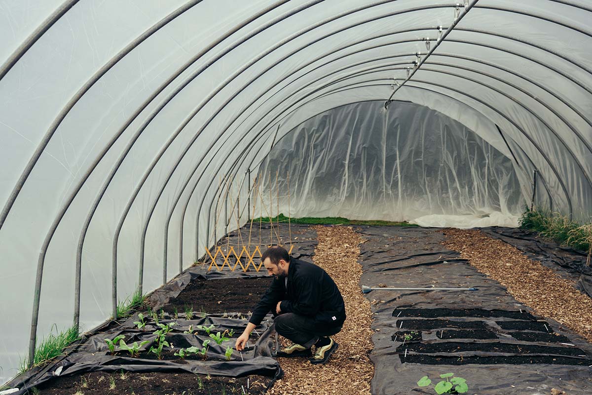 Cardinal's Kitchen Garden run by chef-owner Tomás Gormley